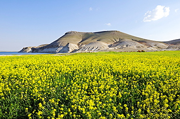 Mountain Jebel Arruda at the Asad reservoir of the Euphrates, Syria, Asia