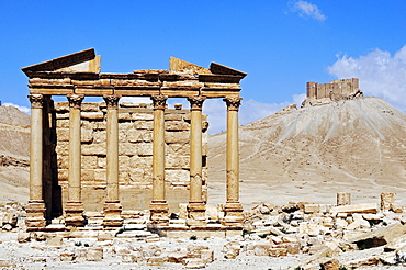 Ruins of the Perystil, grave temple in the excavation site of Palmyra, Tadmur, Syria, Asia