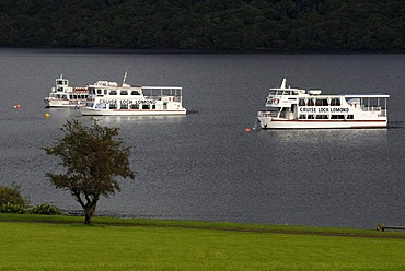 Excursion boats on the Loch Lomond, Tarbet, Scotland, Great Britain