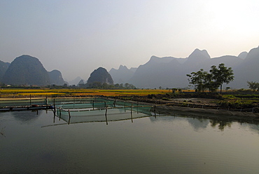 Fish farming pond near Yangshuo at Yulong River in front of trees and karst rocks, Yangshuo, Guilin, Guanxi, China, Asia