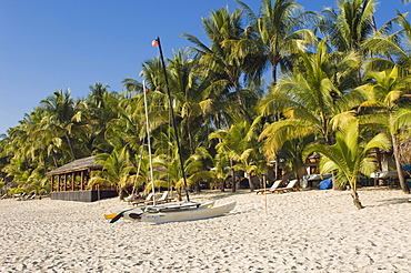 Palm beach, Ngapali Beach, Thandwe, Rakhine Coast, Bay of Bengal, Burma, Myanmar, Asia