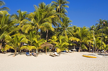 Palm beach, Ngapali Beach, Thandwe, Rakhine Coast, Bay of Bengal, Burma, Myanmar, Asia