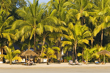 Palm beach, Ngapali Beach, Thandwe, Rakhine Coast, Bay of Bengal, Burma, Myanmar, Asia