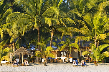 Palm beach, Ngapali Beach, Thandwe, Rakhine Coast, Bay of Bengal, Burma, Myanmar, Asia