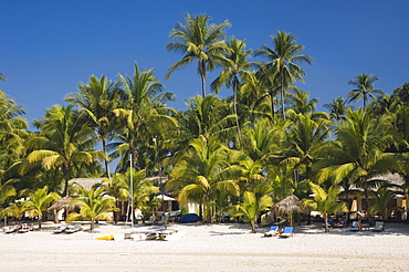 Palm beach, Ngapali Beach, Thandwe, Rakhine Coast, Bay of Bengal, Burma, Myanmar, Asia