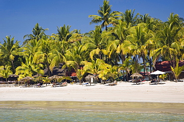 Palm beach, Ngapali Beach, Thandwe, Rakhine Coast, Bay of Bengal, Burma, Myanmar, Asia