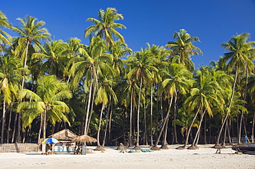 Palm beach, Ngapali Beach, Thandwe, Rakhine Coast, Bay of Bengal, Burma, Myanmar, Asia