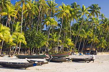 Palm beach, Ngapali Beach, Thandwe, Rakhine Coast, Bay of Bengal, Burma, Myanmar, Asia