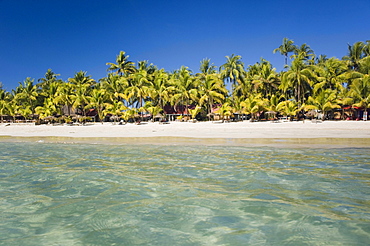 Palm beach, Ngapali Beach, Thandwe, Rakhine Coast, Bay of Bengal, Burma, Myanmar, Asia