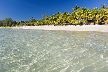 Palm beach, Ngapali Beach, Thandwe, Rakhine Coast, Bay of Bengal, Burma, Myanmar, Asia