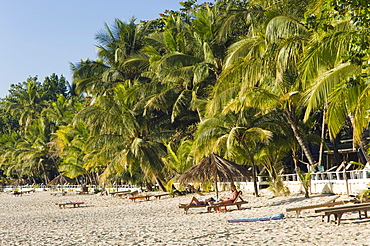 Palm beach, Ngapali Beach, Thandwe, Rakhine Coast, Bay of Bengal, Burma, Myanmar, Asia