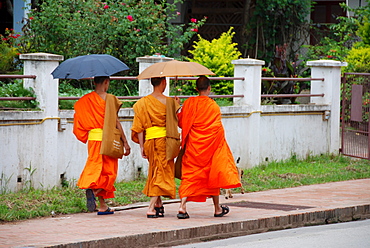 Monks in Luang Prabang, Laos, Southeast Asia