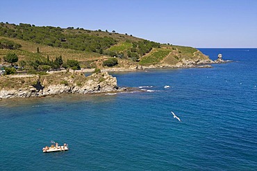 Swimming platform in the Bay of Banyuls sur Mer, Cote Vermeille, Pyrenees-Orientales, Roussillon, Languedoc-Roussillon, South France, France