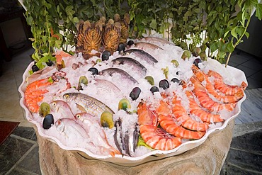 Fish and shellfish on display in front of a restaurant in the harbour of Rethymnon, island of Crete, Greece, Europe