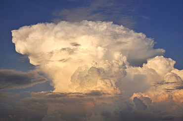 Cumulus mediocris cloud formation, congestus, in the evening at sunset, Freising, Upper Bavaria, Bavaria, Germany, Europe