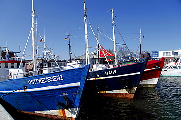 Fishing boats in the harbor, Heiligenhafen, Schleswig-Holstein, Germany, Europe