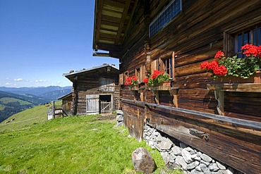 Breitegg Alm, alpine farm, Wildschoenau, Tyrol, Austria, Europe