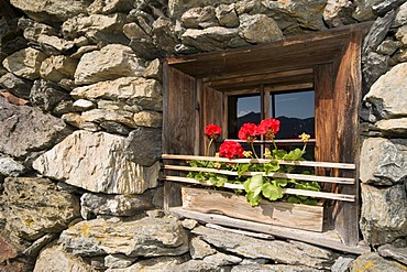 Window of an alpine hut, Laerchenberg alp, Windautal valley, Westendorf, Tyrol, Austria, Europe