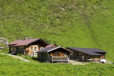 Stoankasern alpine pasture, Hintertux, Zillertal Valley, Tyrol, Austria, Europe