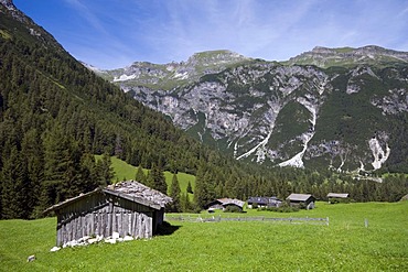 Unterrains alpine pasture, Obernberg, Tyrol, Austria, Europe