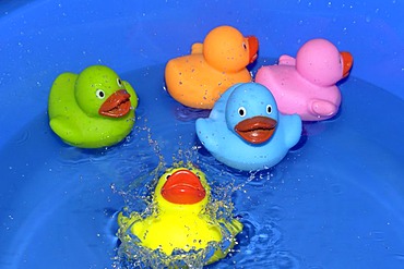 Five colourful rubber ducks floating in water