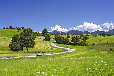 Road, cabriolet, landscape, summer, Riegsee lake, Murnau, Upper Bavaria, Bavaria, Germany, Europe