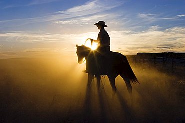 cowboy at sunset, Oregon, USA