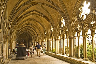 Cloister, Salisbury Cathedral, Salisbury, Dorset, South England, England