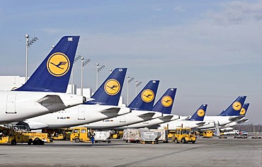 Passenger planes of the German airline Lufthansa standing at Terminal 2 on Munich Airport, Bavaria, Germany, Europe