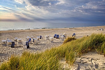 Dunes and roofed wicker beach chairs near Kampen, Sylt, North Frisia, Schleswig-Holstein, Germany, Europe