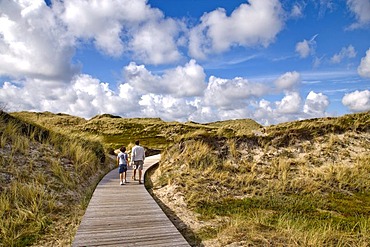 Wooden walkway leading through the dunes near Kampen, North Frisia, Schleswig-Holstein, Germany, Europe