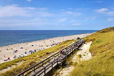 Wooden walkway through a dune landscape, Wenningstedt, North Frisia, Schleswig-Holstein, Germany, Europe