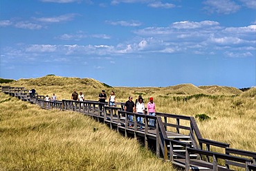 Wooden walkway through a dune landscape, Wenningstedt, North Frisia, Schleswig-Holstein, Germany, Europe