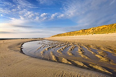 Evening mood at the beach in front of Rotes Kliff, red cliff, Kampen, Sylt Island, North Frisia, Schleswig-Holstein, Germany, Europe