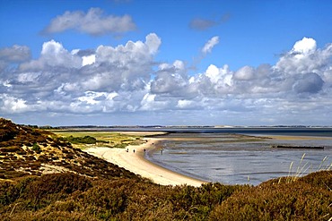 Beach at Braderup heath, Braderup, Sylt, North Frisia, Schleswig-Holstein, Germany, Europe