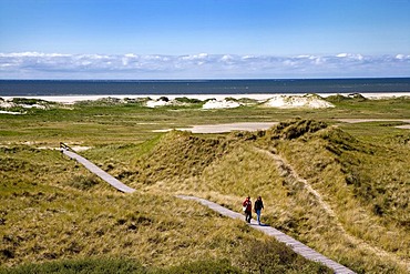 Dunes near Norddorf, Amrum, North Frisia, Schleswig-Holstein, Germany, Europe