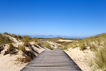 Dunes near Norddorf, Amrum, North Frisia, Schleswig-Holstein, Germany, Europe