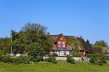 Frisian house in Steenodde, Amrum, North Frisia, Schleswig-Holstein, Germany, Europe