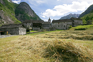 Mown grass in front of a Rustici made of stone in Sonlert, hamlet in the Val Bavona, a side valley of the Valle Maggia, Ticino, Switzerland, Europe