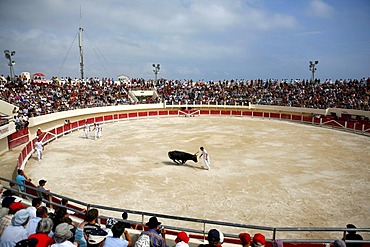 Bullfighting arena in Saintes-Maries-de-la-Mer, Camargue, Southern France, France, Europe