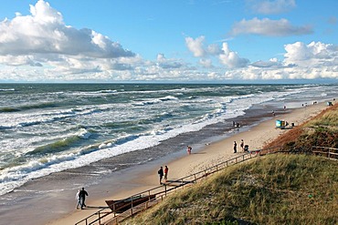 Baltic coast and dune in the Kuroeiu Nerija National Park on the Curonian Spit in Lithuania