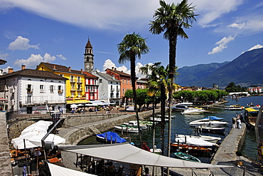 Promenade of Ascona with marina on Lago Maggiore lake, Ticino, Switzerland, Europe