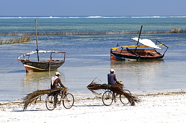 Fishermen on bikes on the beach of BWE Juu, Zanzibar, Tanzania, Africa