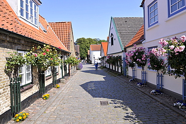 Old houses in the fishing village of Holm, Schleswig, Schleswig-Holstein, northern Germany, Germany, Europe