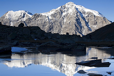 Mt. Ortler reflected in a mountain stream, Sulden, Ortler mountain range, Stelvio National Park, South Tyrol, Italy, Europe