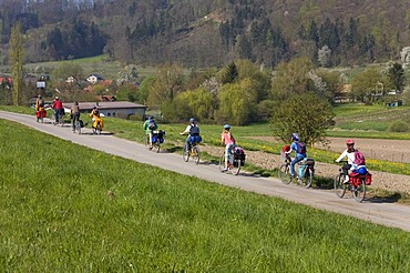 Group of cyclists, Lake Constance, near Bodmann, Baden-Wuerttemberg, Germany, Europe