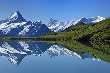 Schreckhorn being reflected in the Bachalpsee, First near Grindelwald, Bernese Oberland, Switzerland