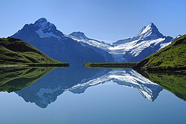 Schreckhorn being reflected in the Bachalpsee, First near Grindelwald, Bernese Oberland, Switzerland