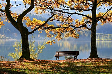 Kochelsee lake in autumn, Bavaria, Germany, Europe