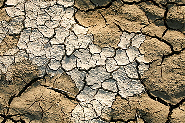 Dry river bed, detail